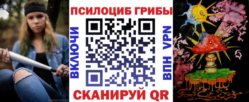 Купить закладки  Михайловка  Псилоцибиновые грибы мухоморы 